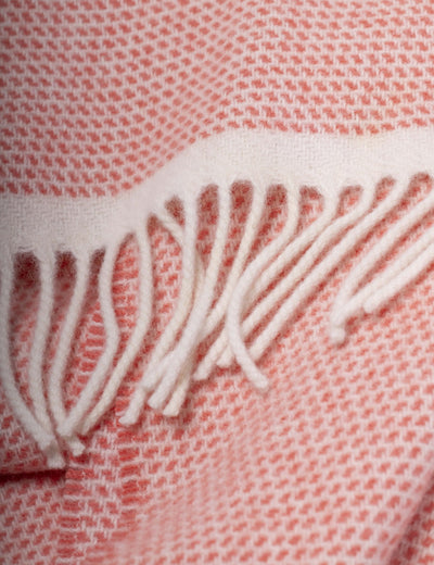 Coral Duiske Merino Lambswool Scarf - Cushendale Woollen Mills