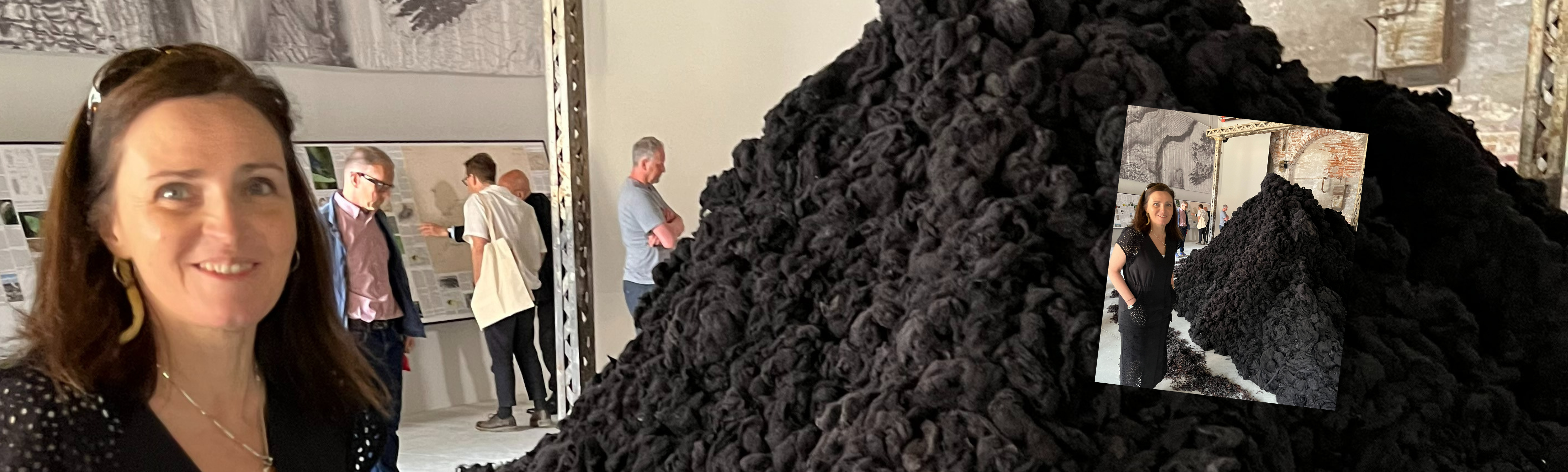 Bringing rare Irish fleeces to the Biennale Venice