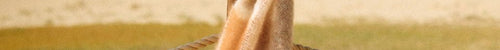 Tangerine Silare Mohair XScarf - Cushendale Woollen Mills